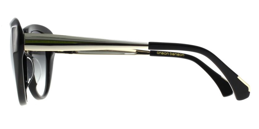Anson Benson AB2024S001-GD Sunglasses - Side View